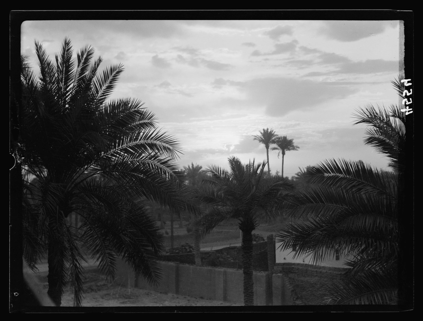Tomb of Joshua the High Priest — Visual context: palms and urban landscape in Baghdad at sunrise, photographed in 1932. It provides period atmosphere rather than a view of the exact institution.